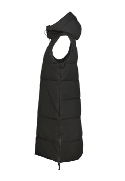 Icepeak Ardes