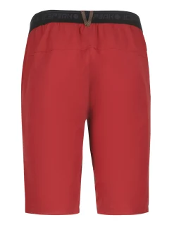 Icepeak Baxter