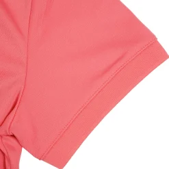 Icepeak Bayard