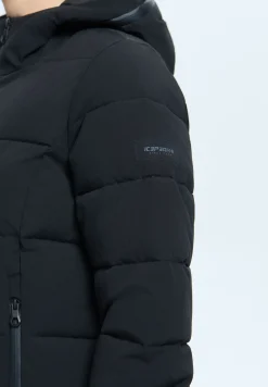 Icepeak Brilon