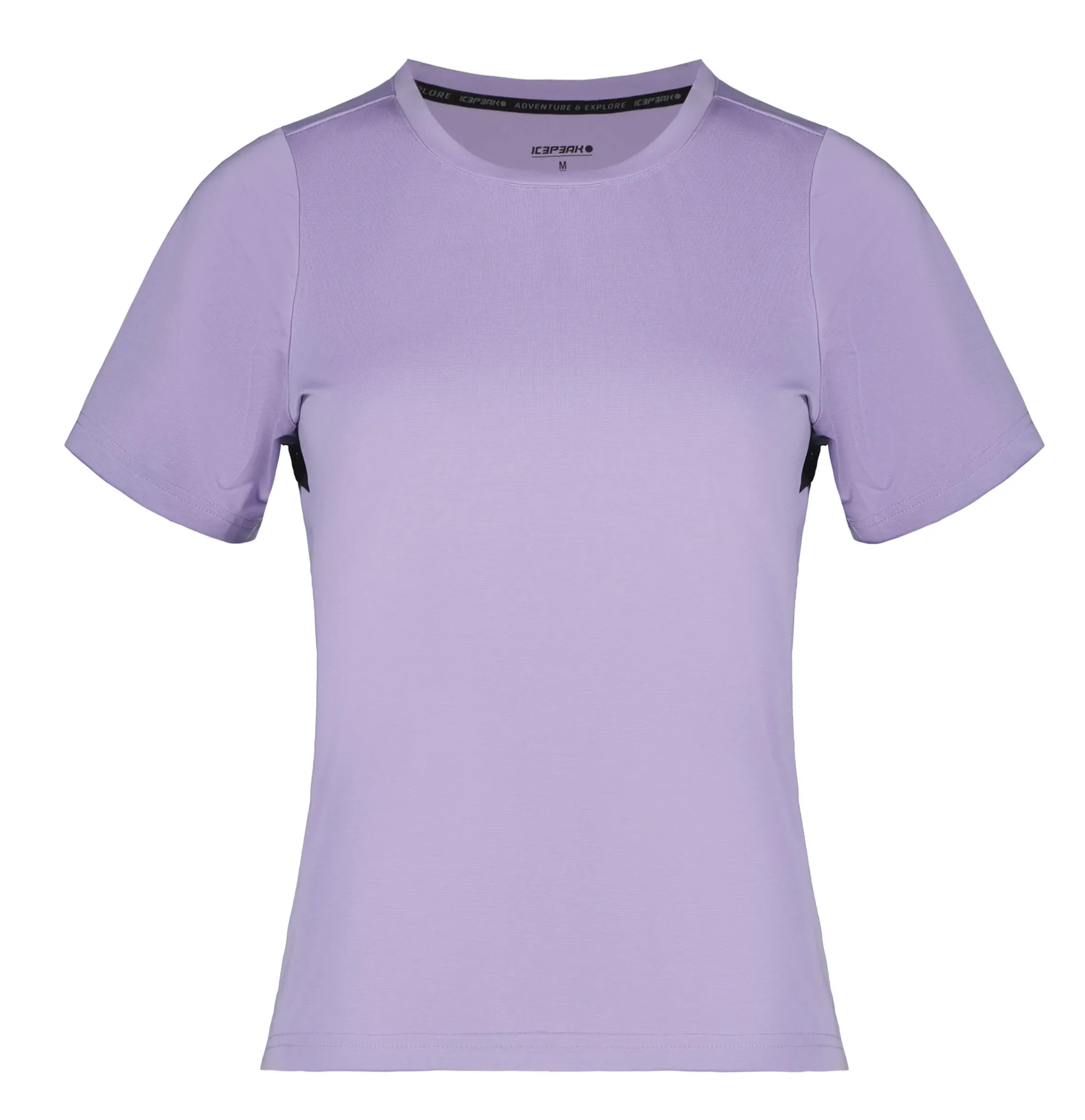 Icepeak Deloit