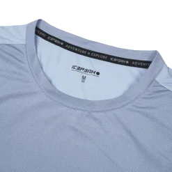 Icepeak Deloit