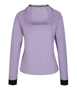 Icepeak Dinan
