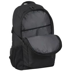Icepeak Geiger