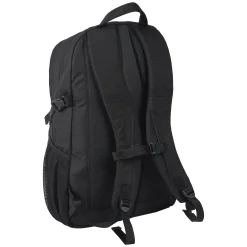 Icepeak Geiger