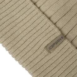 Icepeak Holton
