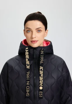 Icepeak Passau