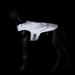 Icepeak Pet Brightly visibilityvest