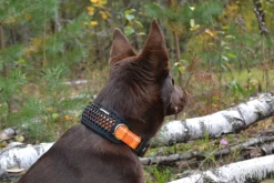 Icepeak Pet CombCollar