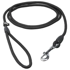Icepeak Pet Winner color leash