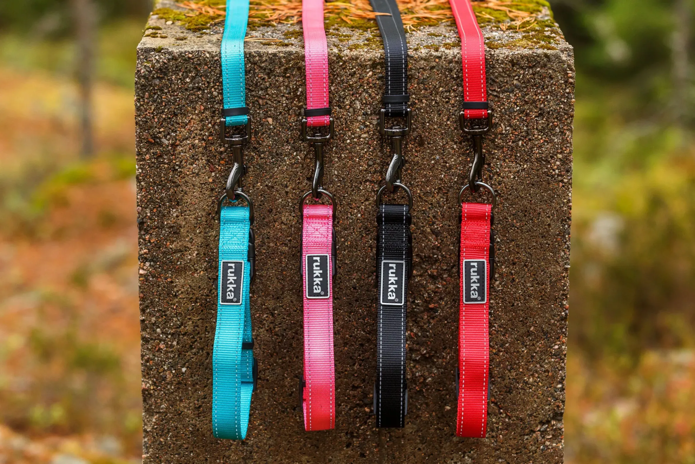 Rukka Pets Bliss collar