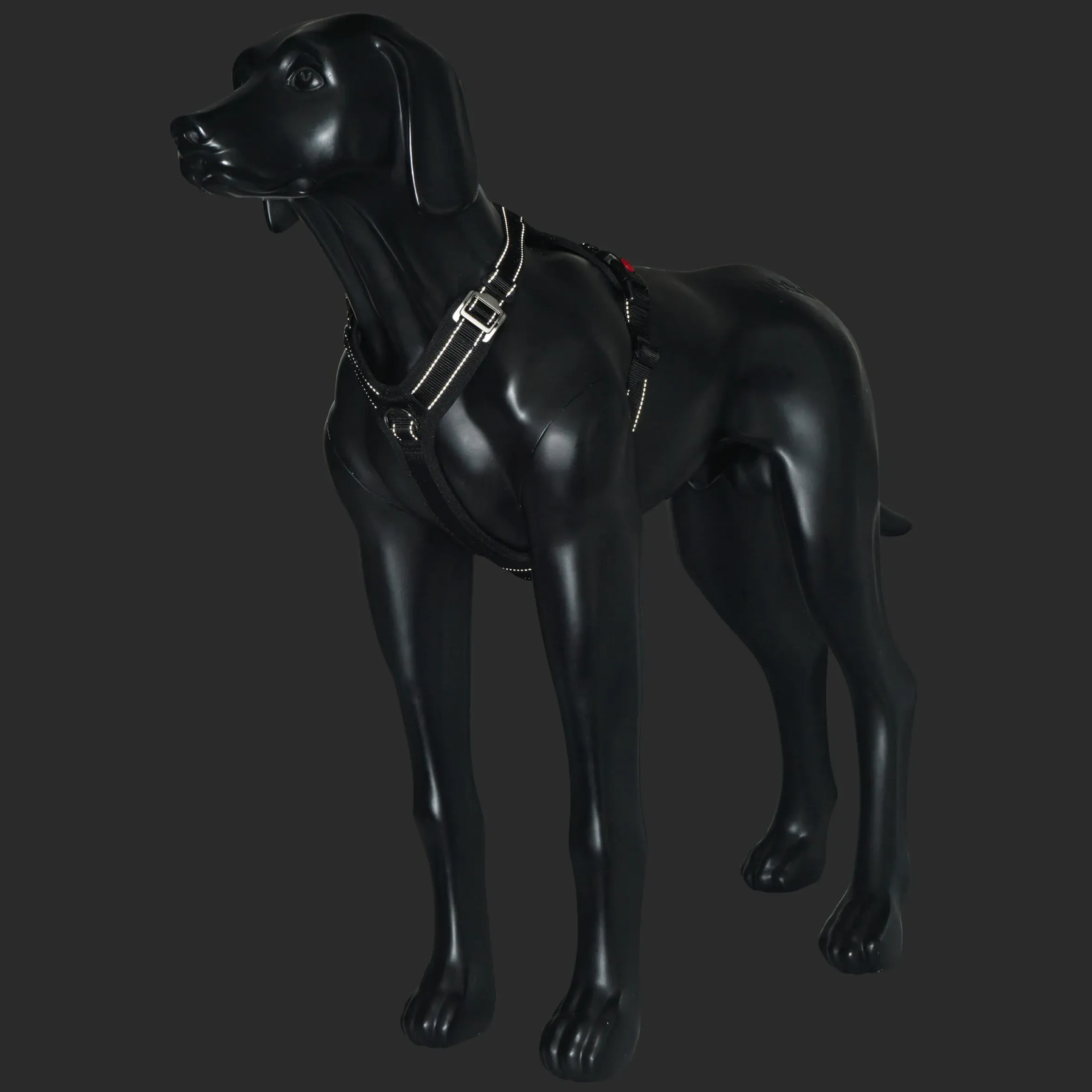 Rukka Pets Bliss Harness