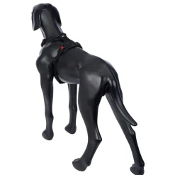 Rukka Pets Bliss Harness