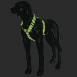 Rukka Pets Form neon harness