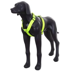 Rukka Pets Form neon harness