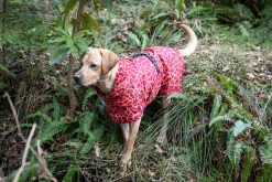 Rukka Pets Hayton warm raincoat