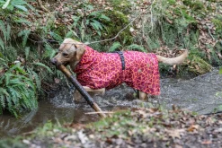 Rukka Pets Hayton warm raincoat