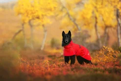 Rukka Pets Hayton x raincoat