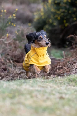 Rukka Pets Hayton x raincoat