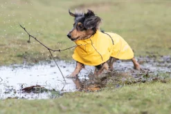 Rukka Pets Hayton x raincoat