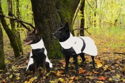 Rukka Pets Shine raincoat