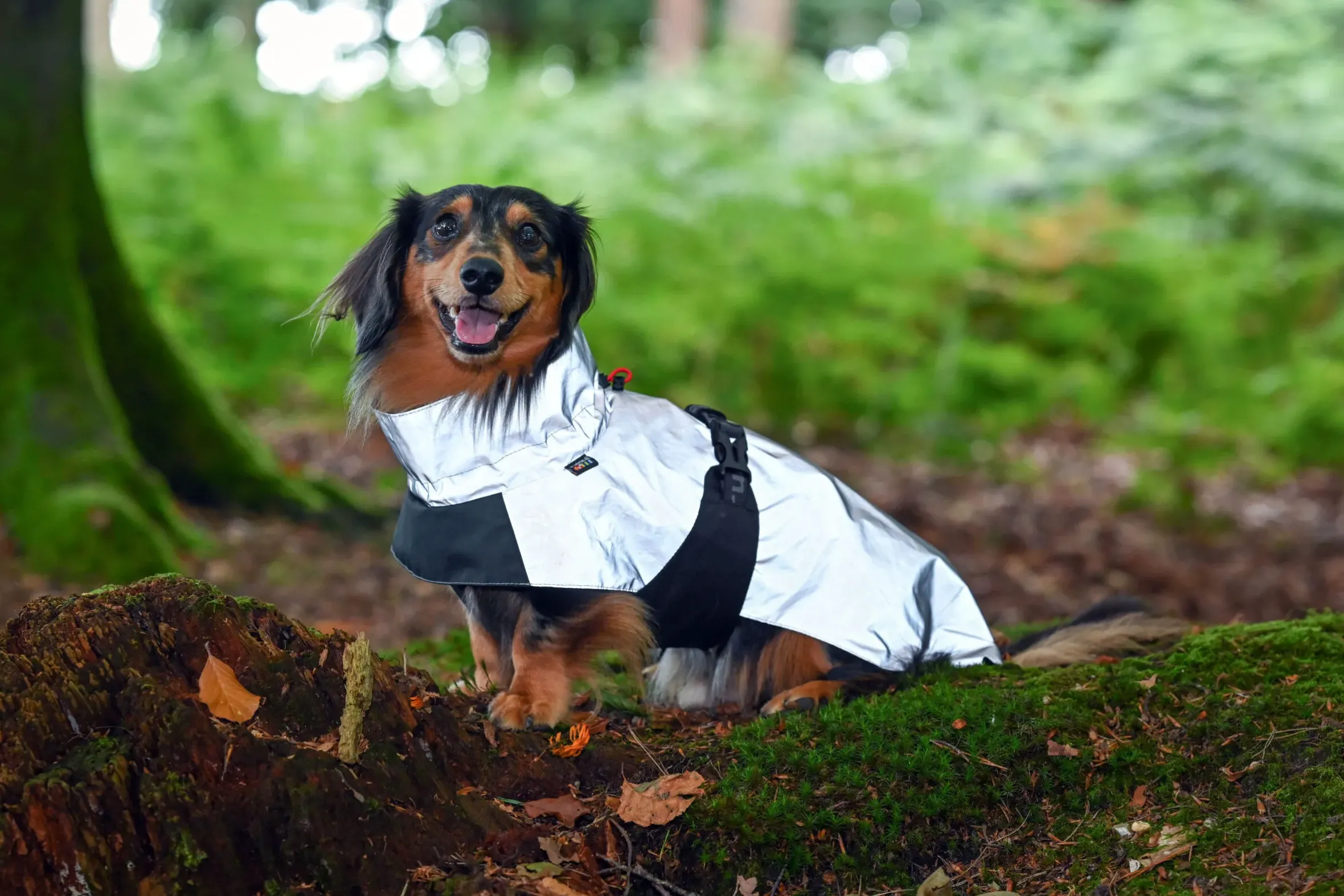 Rukka Pets Shine raincoat