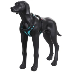 Rukka Pets Solid harness