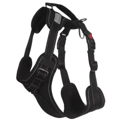Rukka Pets Solid harness
