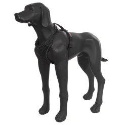 Rukka Pets Solid harness