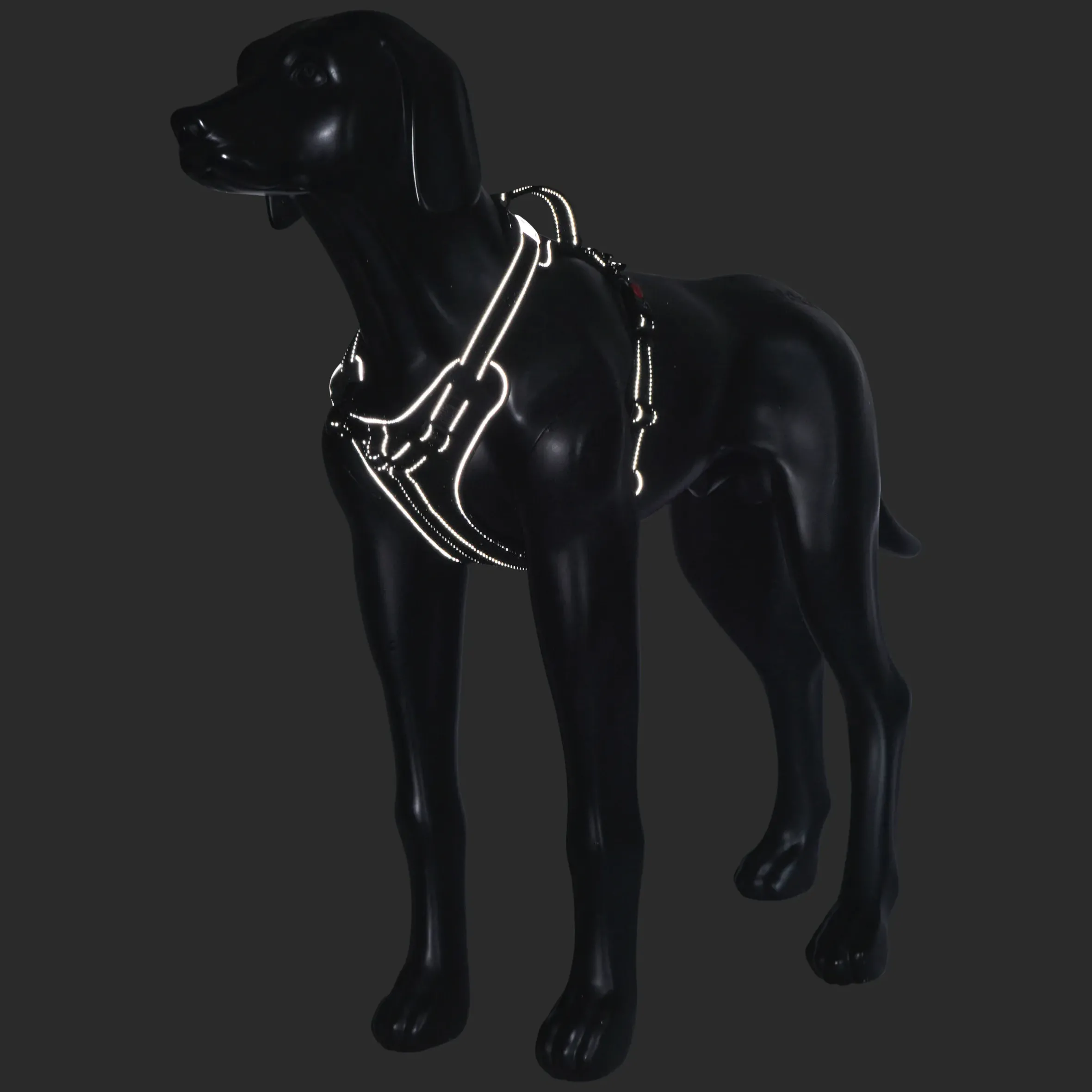 Rukka Pets Solid harness