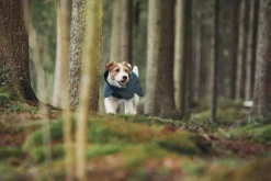 Rukka Pets Stormy coat