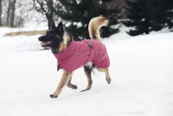 Rukka Pets Stormy coat