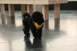 Rukka Pets Tiny Harness