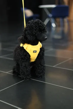 Rukka Pets Tiny Harness