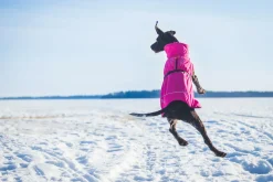 Rukka pets Warmup coat