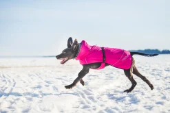Rukka pets Warmup coat