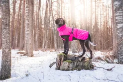 Rukka pets Warmup coat