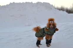 Rukka Pets Warmup 2.0 coat