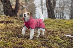 Rukka Pets Windy thermal jacket