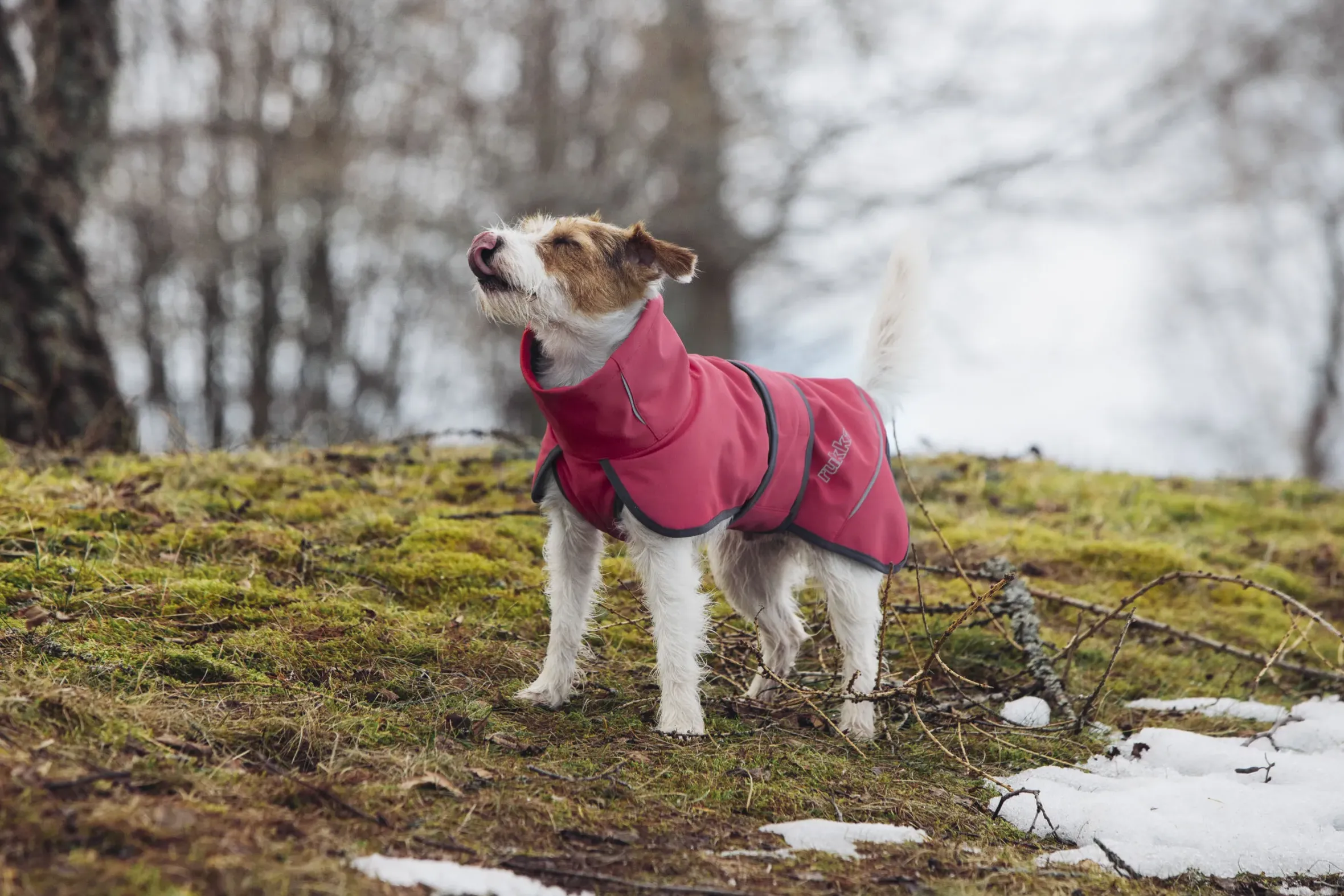 Rukka Pets Windy thermal jacket